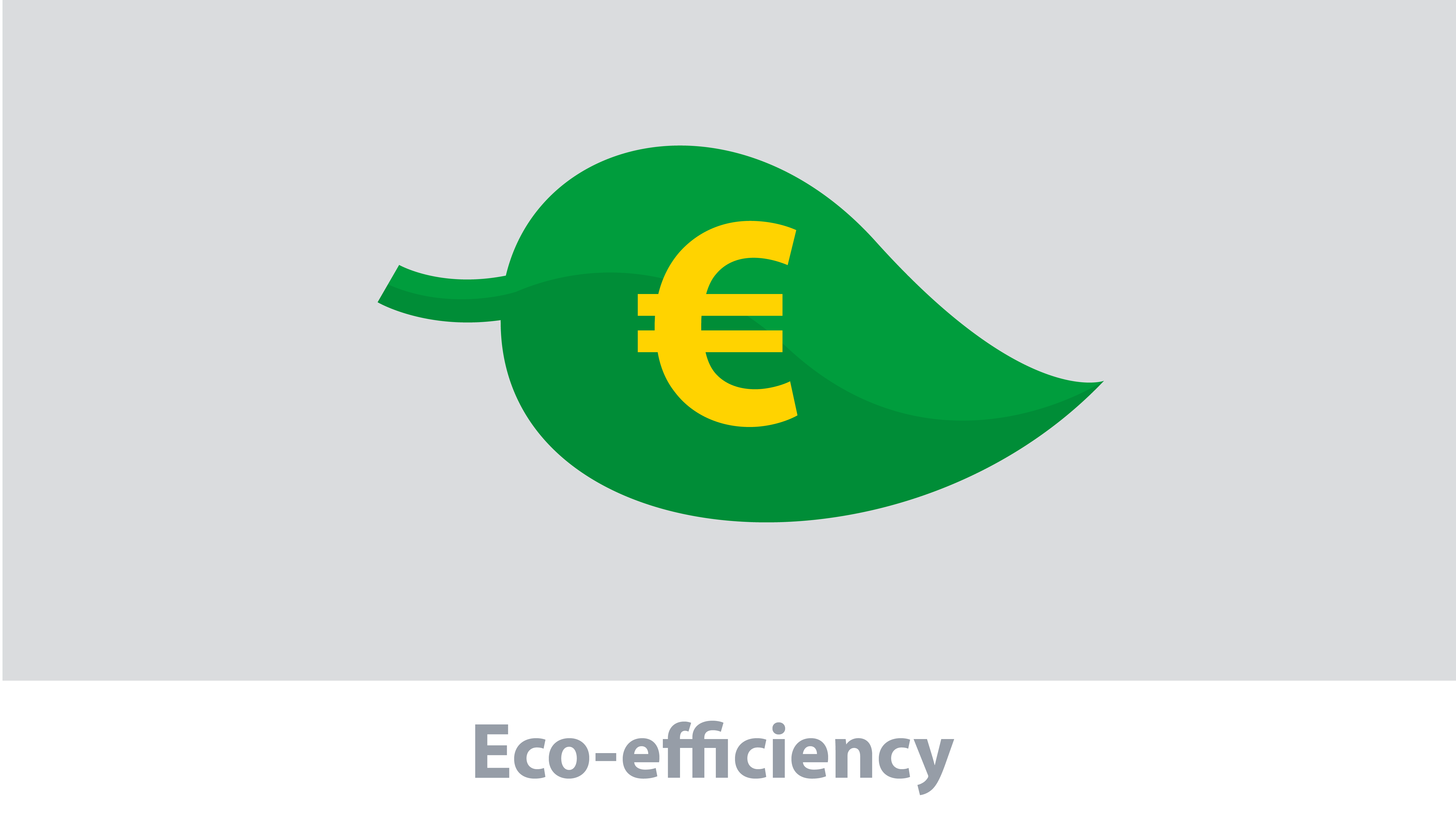 eco-efficiency-hse-report2016-1